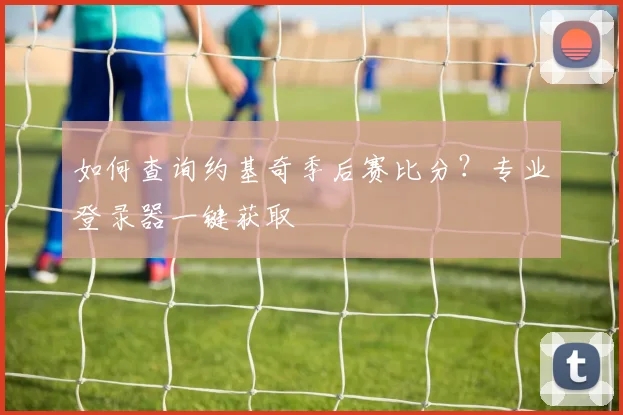 如何查询约基奇季后赛比分？专业登录器一键获取