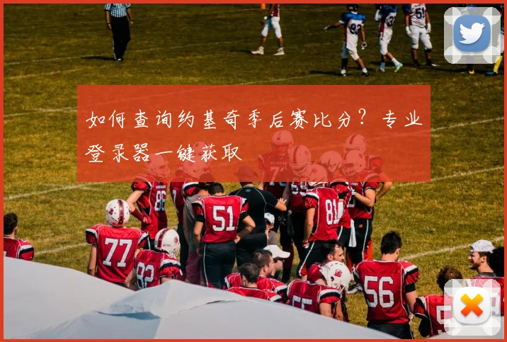 如何查询约基奇季后赛比分？专业登录器一键获取