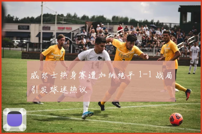 威尔士热身赛遭加纳绝平 1-1 战局引发球迷热议