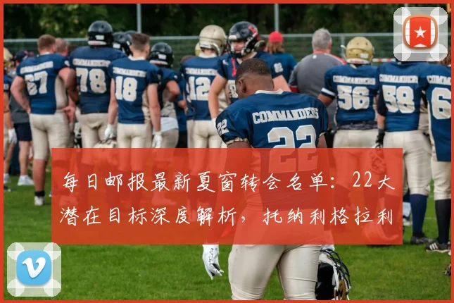 每日邮报最新夏窗转会名单:22大潜在目标深度解析,托纳利格拉利什领衔