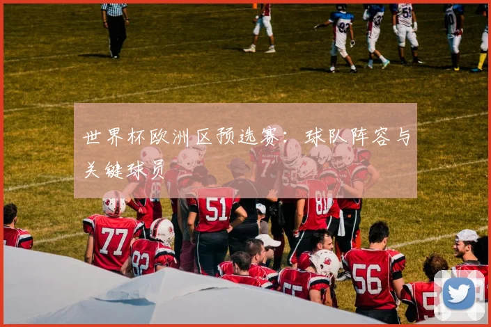 世界杯欧洲区预选赛：球队阵容与关键球员